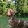 Rony