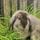 Agnes