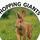 Hopping Giants