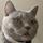 nellie2010