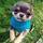 Cheryl