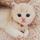 CuteCubs