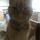 Kirstie