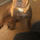 bethanycoates43