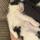 babsandmoo