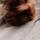 donna