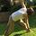 Nicole H