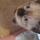 Holly.myhal