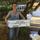 East Sussex Smallholders Ltd