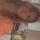 daniellewestcott19