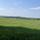 starahony