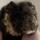 Zia's Purebred Lunks