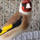 Goldfinch Birds