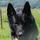 wakelin.karen