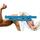Between muscle and bone fitness and health