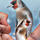 Bird man