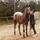 charlottebarrett2792