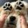 Retreiver canos