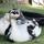 DuckyducksGem