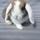 spfox144