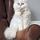 jane.middlemas