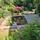 Pond and Garden Services
