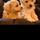 jackie_kemp