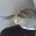 mary.larner1