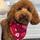 Darcey_09
