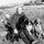 Stairnal Gundogs