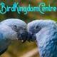 Bird Kingdom centre