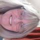Susan Reeve