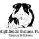 Highfields Guinea Pig Rescue & Haven