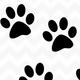 Noras Puppies