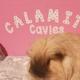 Jayne Amiss