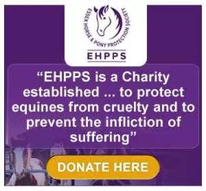 Donate EHPPS