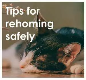 Tips for rehoming a pet safely